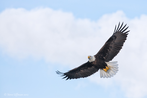 Click to visit Steve and Marian Uffmans Nature and Travel Photography steve-and-marian-uffman-travel-and-nature-photography-smugmug-customization
