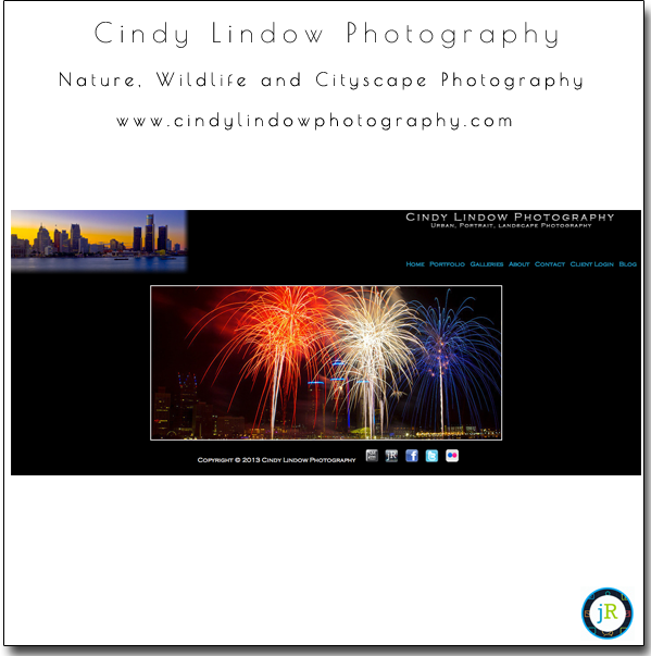 SmugMug-Customization-Nature-Wildlife-Cityscape-Photography-Cindy-Lindow-Photography