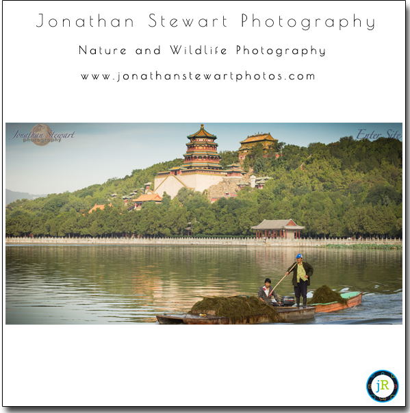 SmugMug-Customization-Nature-Wildlife-Photography-Jonathan-Stewart-Photography