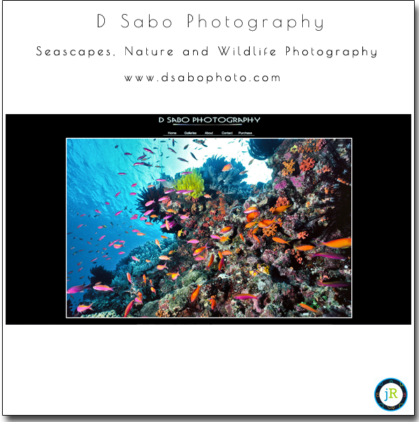 SmugMug-Customization-Seascapes-Nature-Outdoor-Photography-D-Sabo-Photography