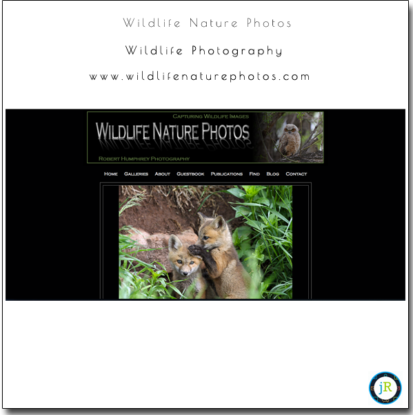 SmugMug-Customization-Wildlife-Photography-Wildlife-Nature-Photos