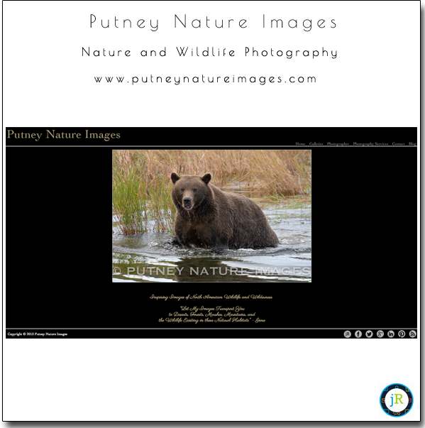 SmugMug-Customization-Wordpress-Theme-Nature-Wildlife-Photography-Putney-Nature-Images