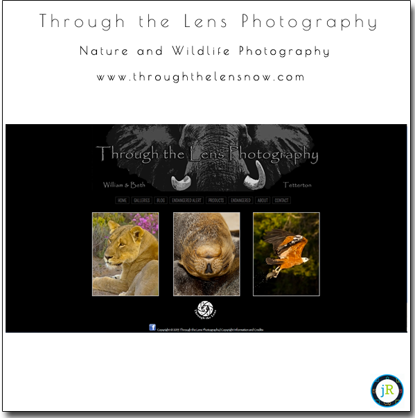 SmugMug-Customization-Wordpress-Theme-Wildlife-Nature-Photography-Through-the-Lens-Photography